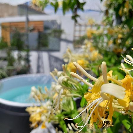 Le Petit Patio Bed & Breakfast Aigues-Mortes Dış mekan fotoğraf