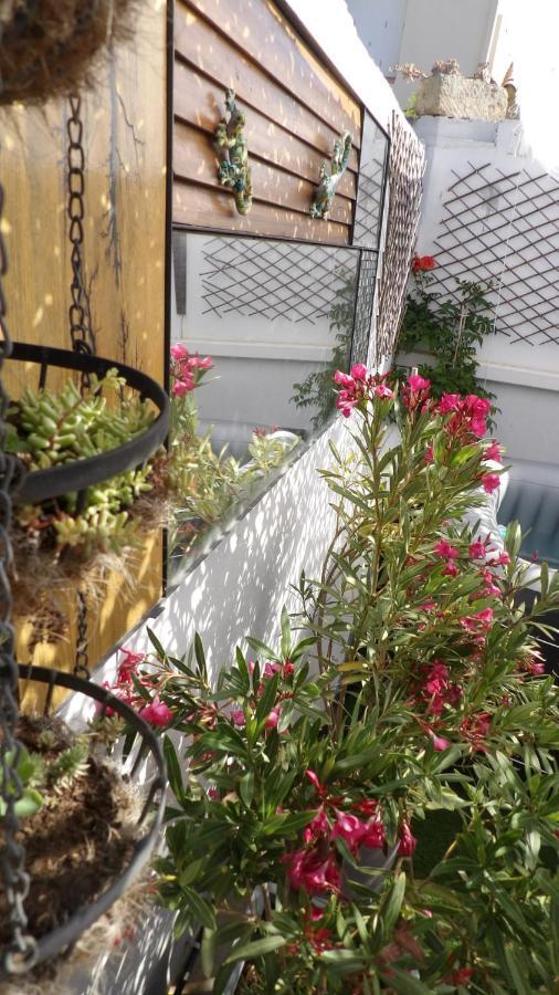 Le Petit Patio Bed & Breakfast Aigues-Mortes Dış mekan fotoğraf