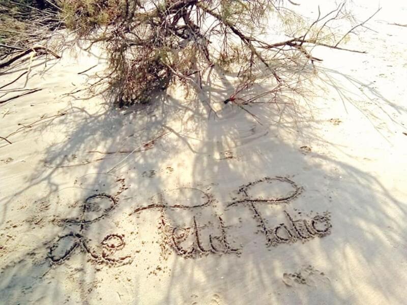 Le Petit Patio Bed & Breakfast Aigues-Mortes Dış mekan fotoğraf