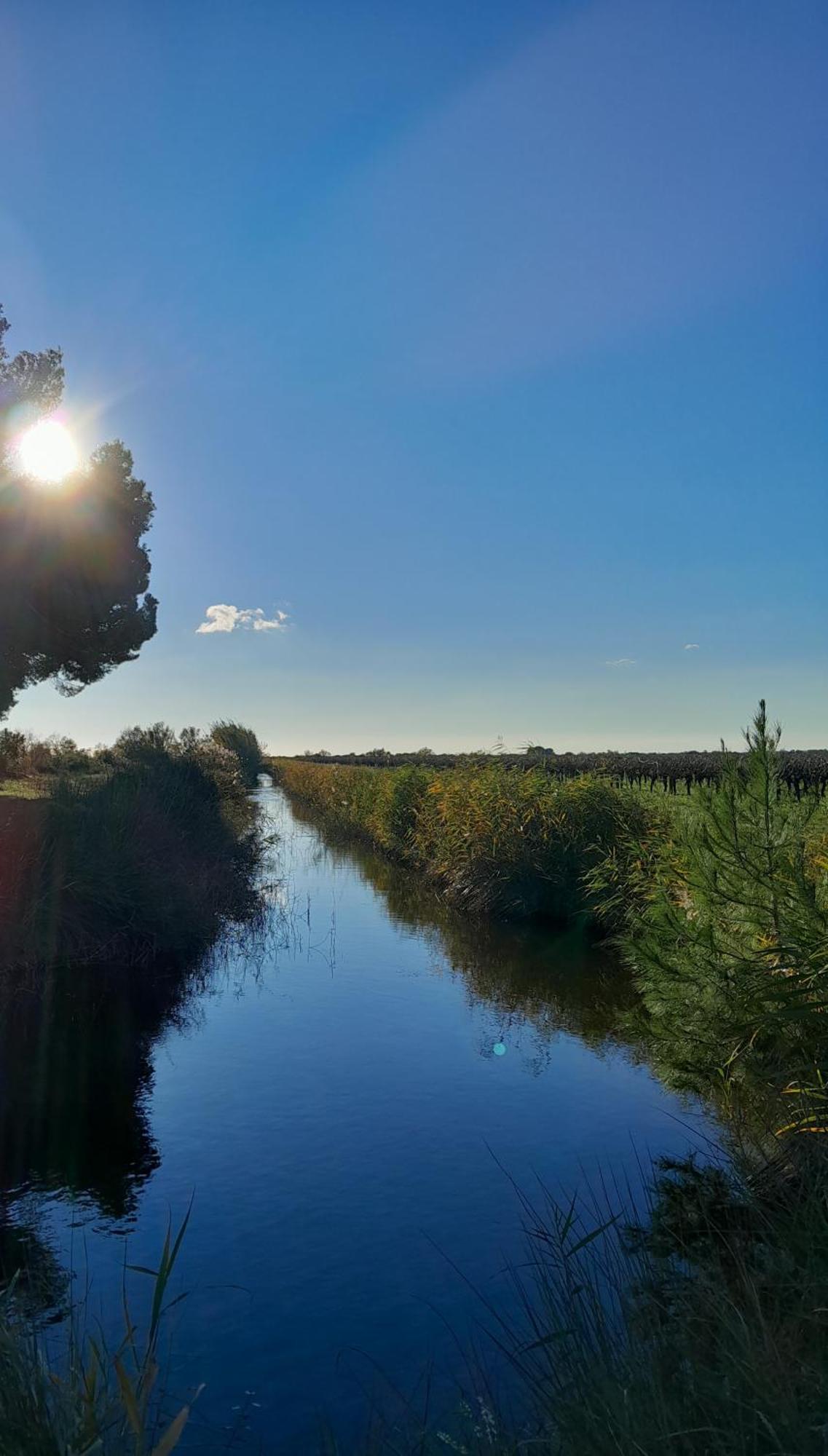 Le Petit Patio Bed & Breakfast Aigues-Mortes Dış mekan fotoğraf
