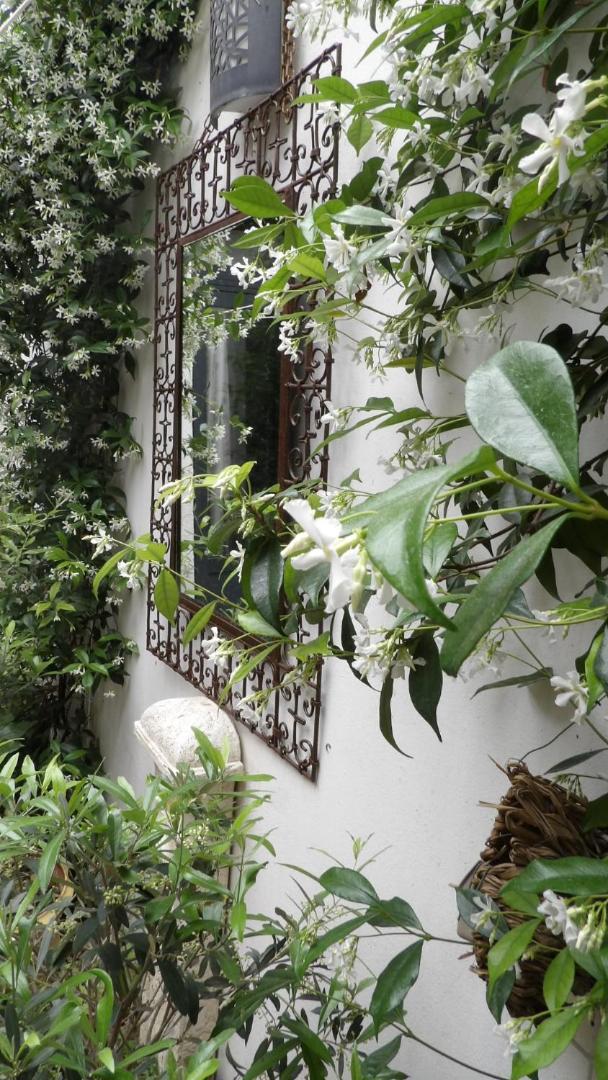 Le Petit Patio Bed & Breakfast Aigues-Mortes Dış mekan fotoğraf