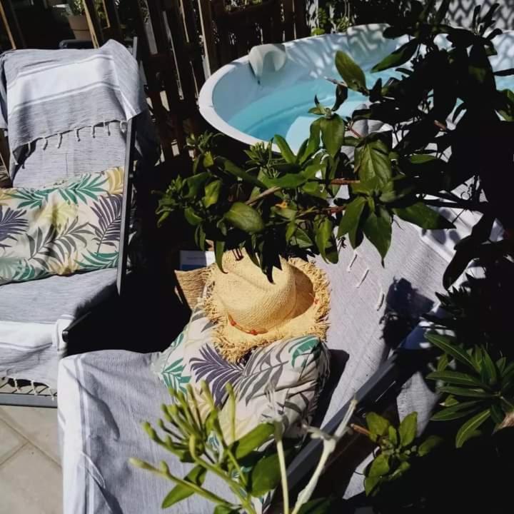Le Petit Patio Bed & Breakfast Aigues-Mortes Dış mekan fotoğraf