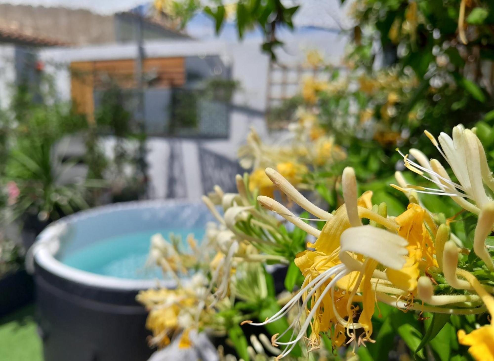 Le Petit Patio Bed & Breakfast Aigues-Mortes Dış mekan fotoğraf