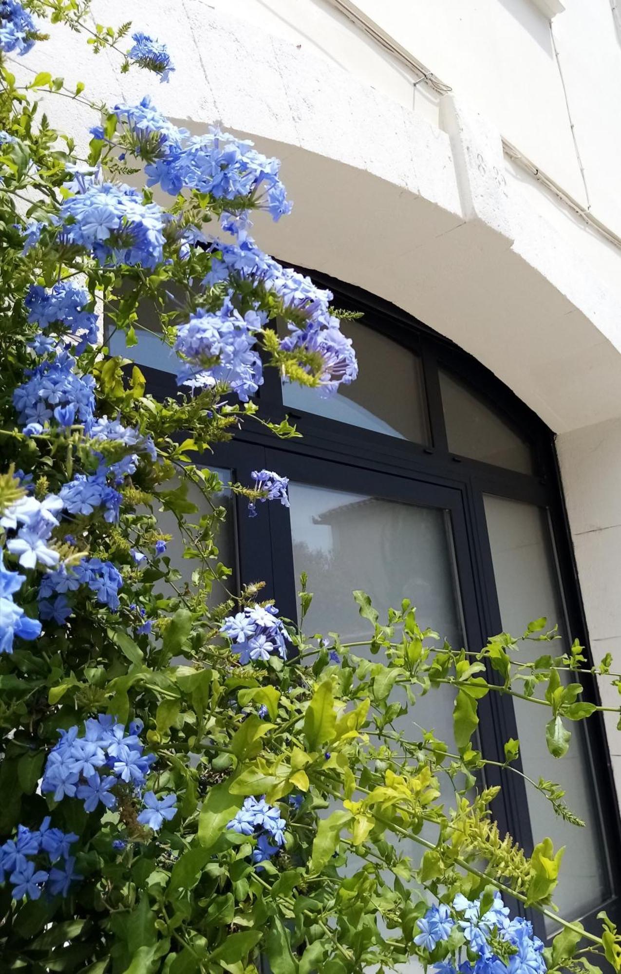 Le Petit Patio Bed & Breakfast Aigues-Mortes Dış mekan fotoğraf