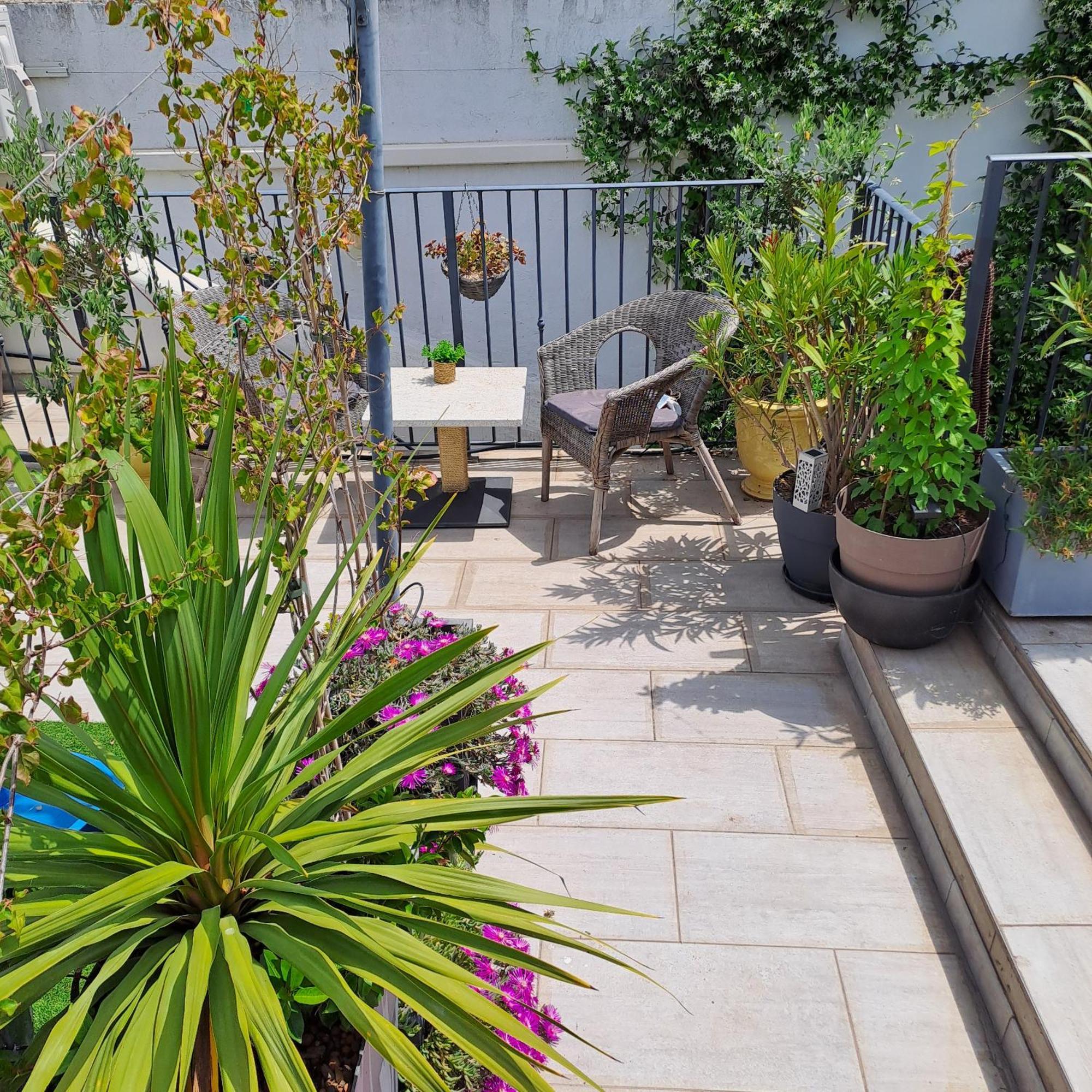 Le Petit Patio Bed & Breakfast Aigues-Mortes Dış mekan fotoğraf