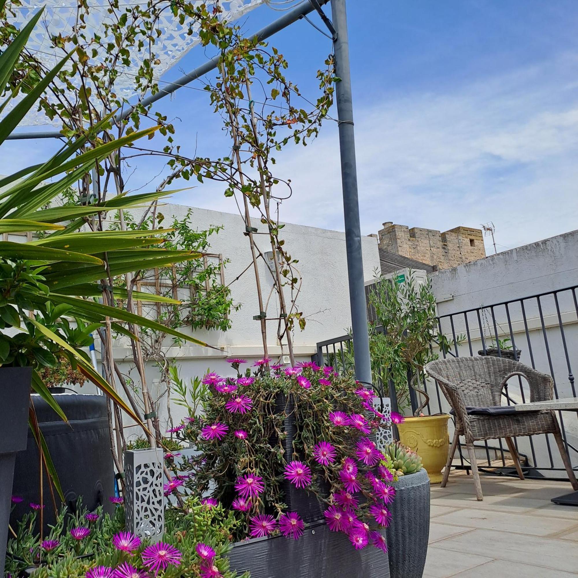 Le Petit Patio Bed & Breakfast Aigues-Mortes Dış mekan fotoğraf