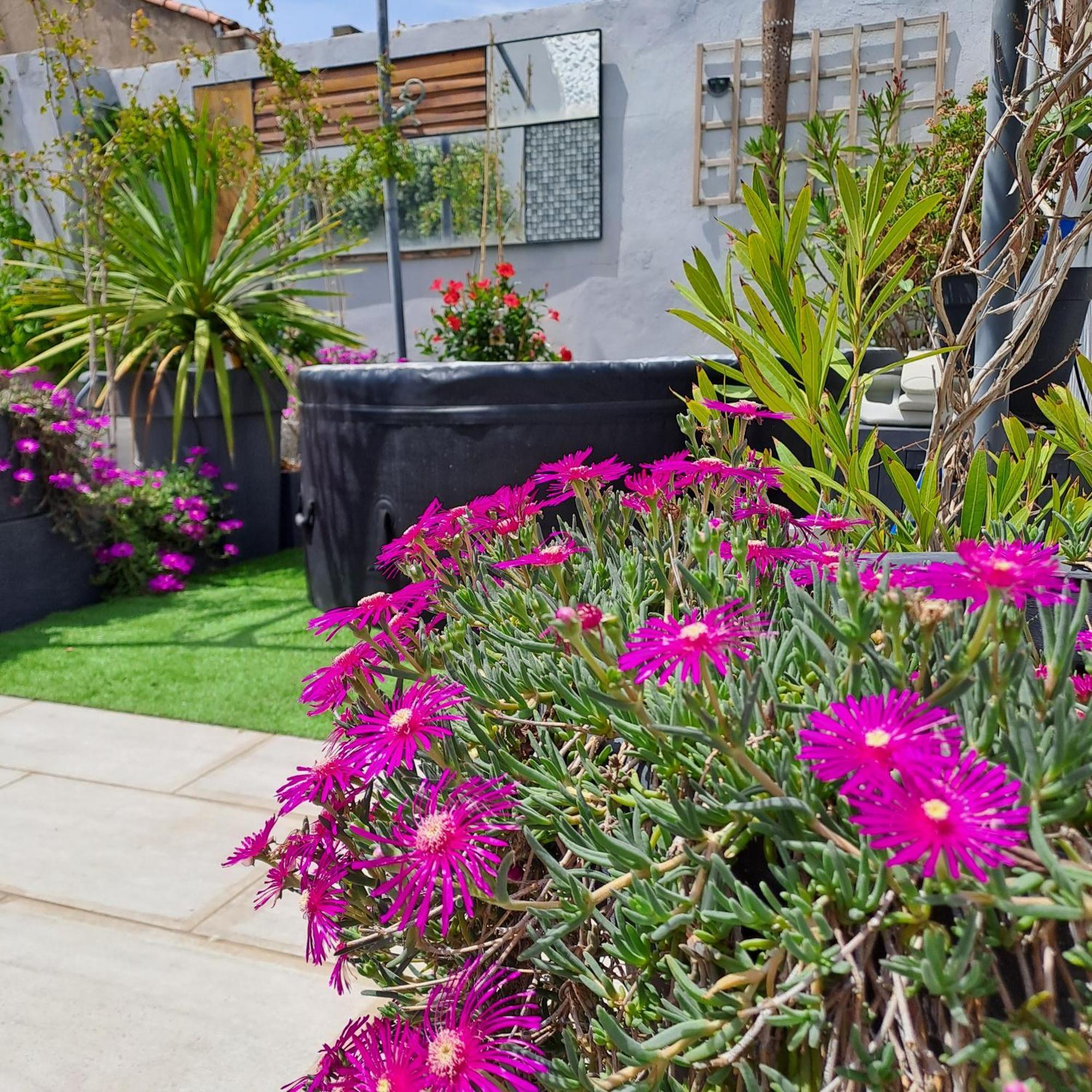 Le Petit Patio Bed & Breakfast Aigues-Mortes Dış mekan fotoğraf